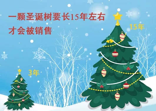 中國最早報道圣誕節(jié)的竟是《人民日報》，你不知道的10個圣誕小知識